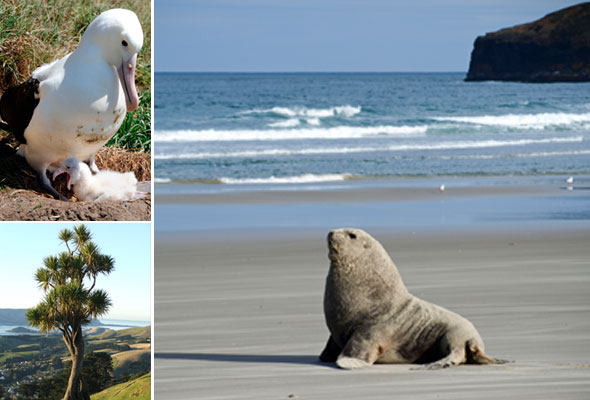 Otago Peninsula